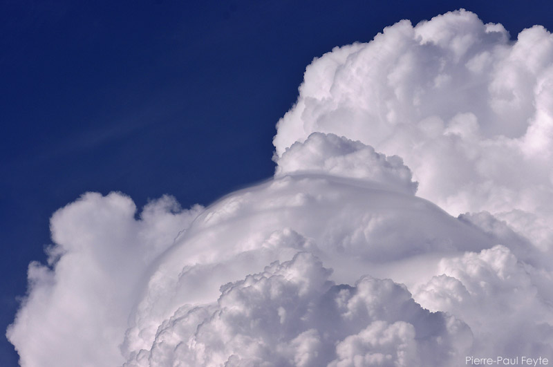 pileus-20100627-9384-800.jpg